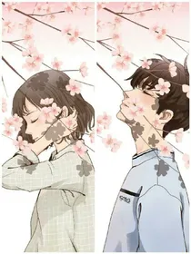 BOLO命运宠物