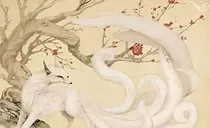 九尾传奇