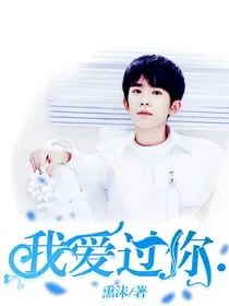 我爱过你.