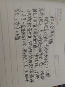 秋天的风在飞舞