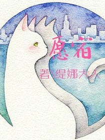 愿宿