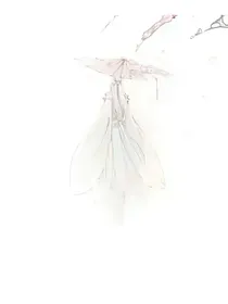 蝶舞清风轻如烟