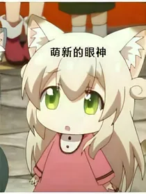神奇宝贝之我是道馆馆主