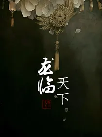 龙临天下.