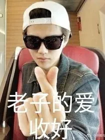 我网恋了一个霸道总裁