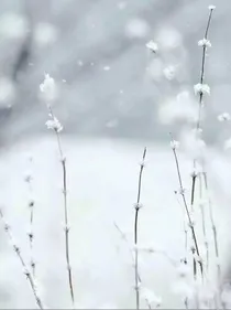 一起暗恋