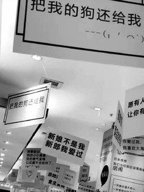 其实我很喜欢你喜欢我的样子