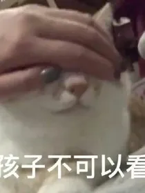 禁忌城
