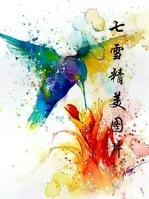七雪精美图片