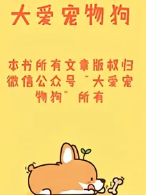 大爱宠物狗