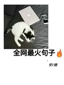 全网最火句子