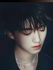 禁欲凯少轻点宠
