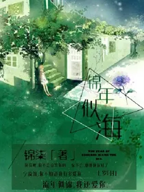 锦年似海