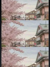 照片（Kayla）