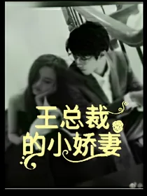 王总裁的小娇妻