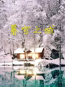 暮雪之城