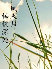 梧桐树下等待，与你相见