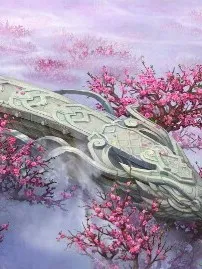 三生三世之白灵