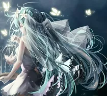 小花仙:奇迹花的绽放