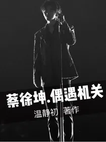 蔡徐坤.偶遇机关
