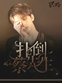 扑倒蔡先生.