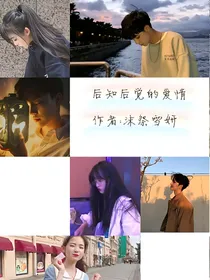 后知后觉的爱情（暂时名字）