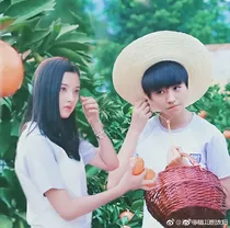 樱花树下的约定之十年之约