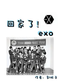回家了！EXO：十二月的奇迹（短篇）