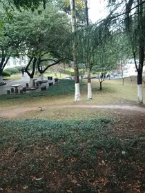 哦咧