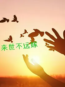 来世不远嫁