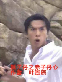 甄子丹之赤子丹心