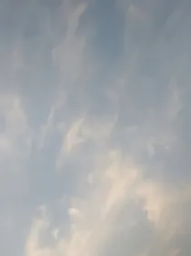 各种图.