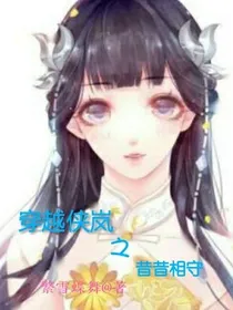 穿越侠岚之昔昔相守