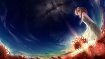 综漫之凤凰无双