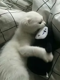小短文合集
