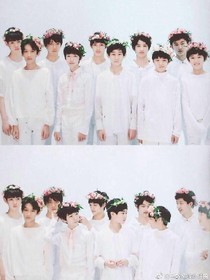 Tf家族_知否.