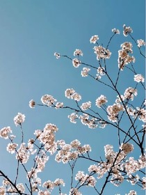 我穿越到前世