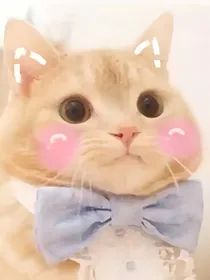 依依头像铺