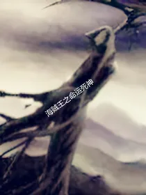 海贼王之命运死神