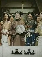 延禧攻略之魏璎婷。