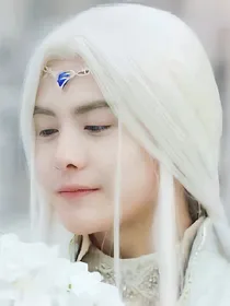 幻城同人之彼岸花葬