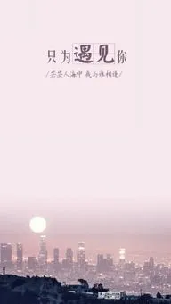 只为遇见你最美的你