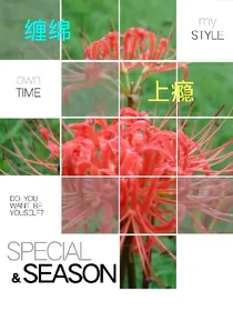 缠绵上瘾