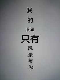 我的眼里只有风景与你