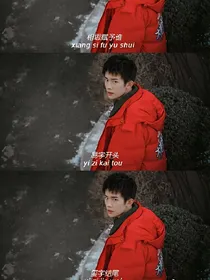 家有一只鹤