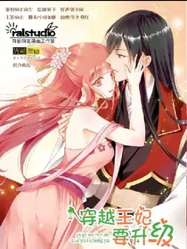 穿越王妃要升级