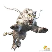 虎王传奇