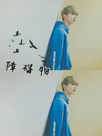 障碍物