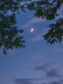 我的星星坠落了_.