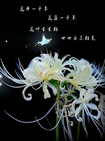 十二妖星_d832